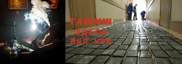 прущие грибы Алзамай
