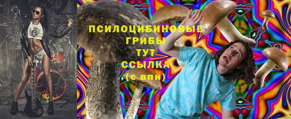 крисы Арсеньев