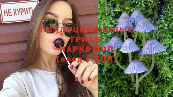прущие грибы Алзамай