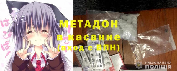 прущие грибы Алзамай